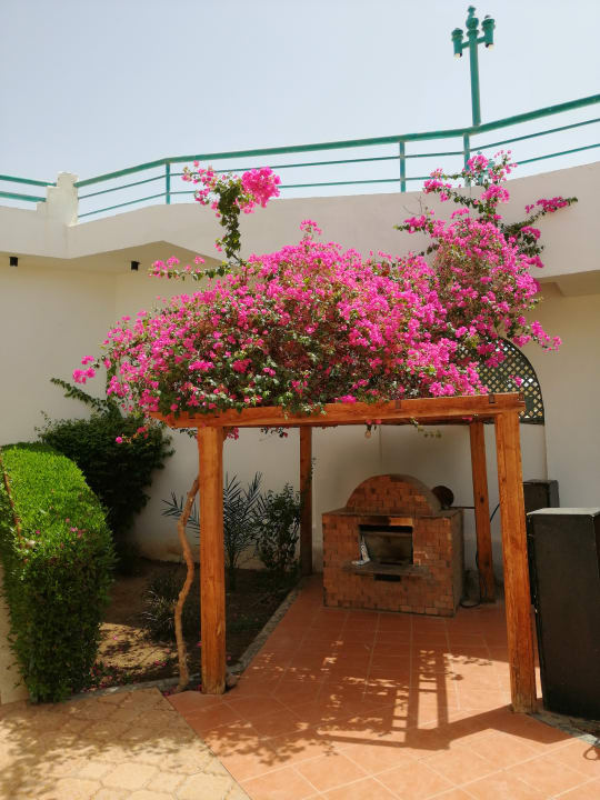 Gartenanlage Shams Safaga Resort