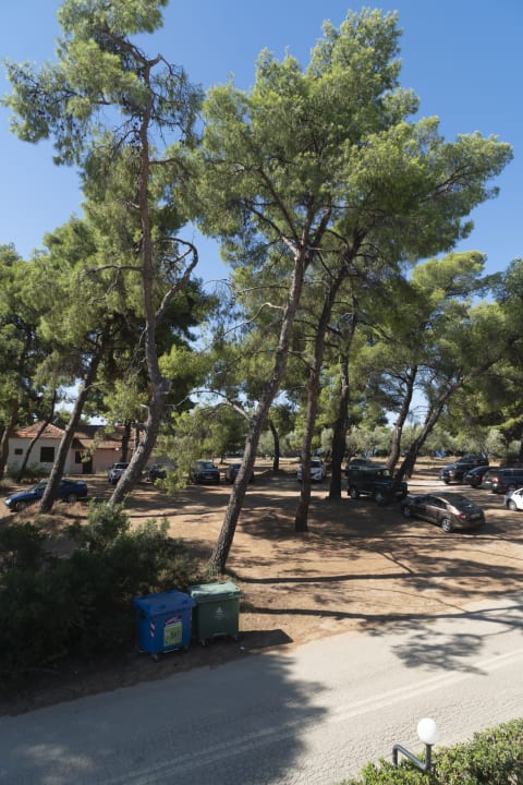 Gartenanlage Blue Dolphin Resort Hotel