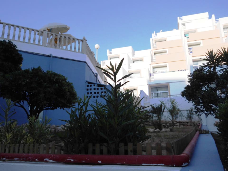 Kleiner Garten Barceló Portinatx - Adults only