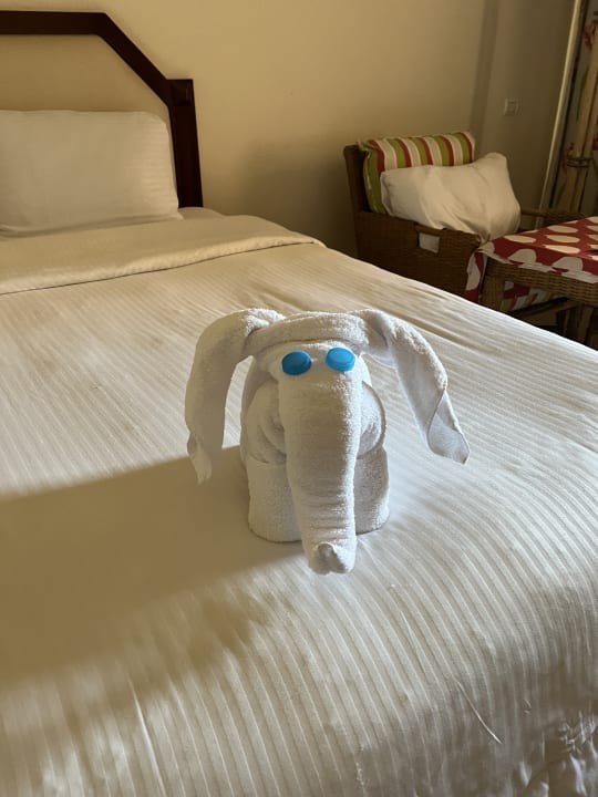 Zimmer Continental Hotel Hurghada