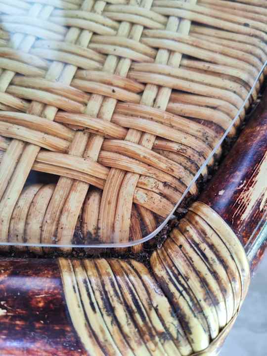 Lobby Hotel Southern Palms Beach Resort