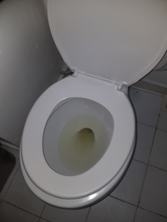 Zimmer whala!boca chica