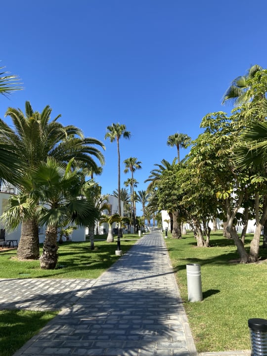 Gartenanlage Hotel Riu Palace Meloneras