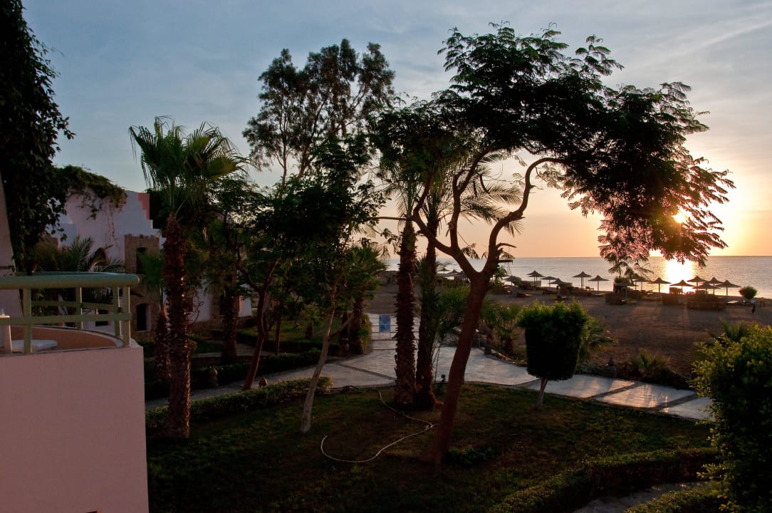 Lo spettacolo mattutino Shams Alam Beach Resort