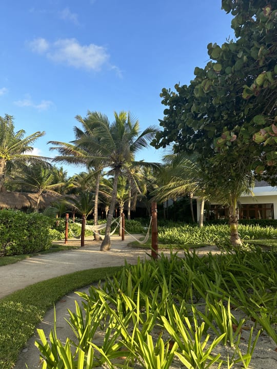 Gartenanlage Akumal Bay Beach & Wellness Resort