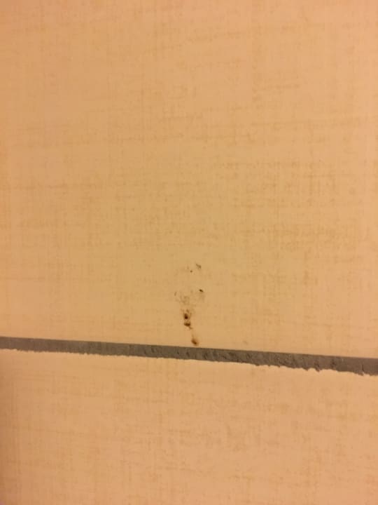 Bad dreckig kaputt alt  Solana by Yelken