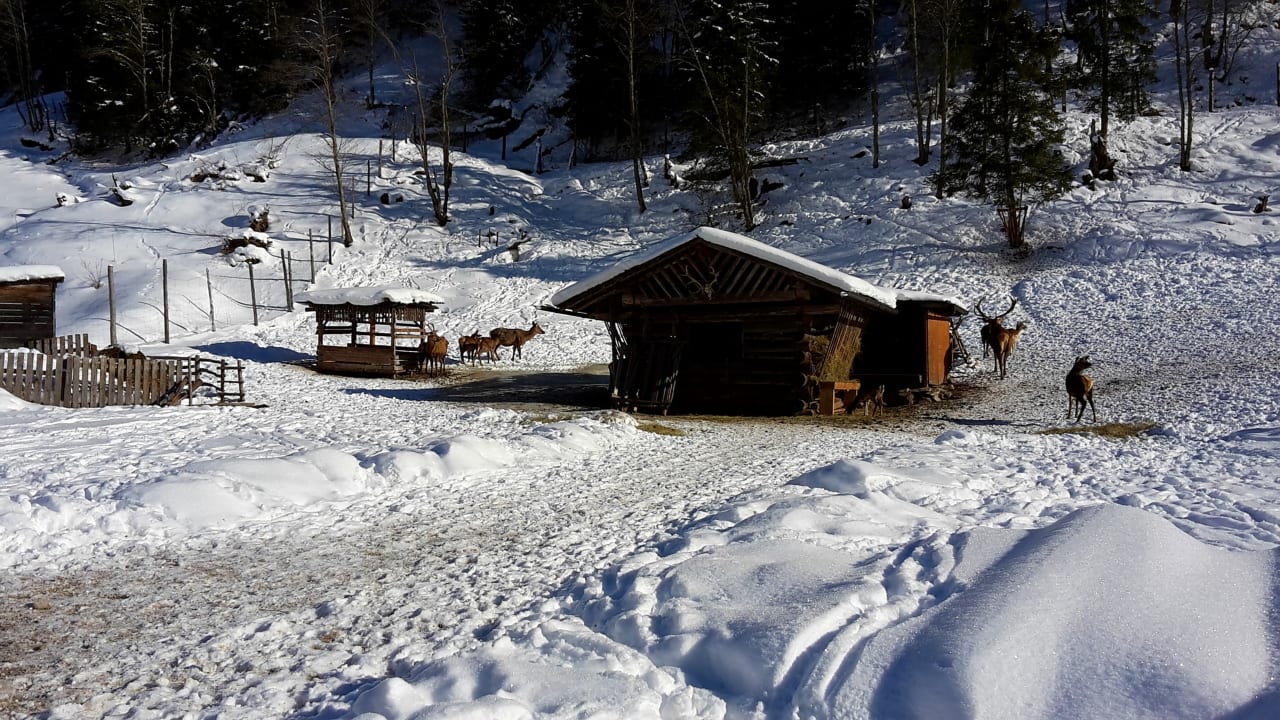 Ausblick Hotel Appartmenthaus Schützenhof - Schied