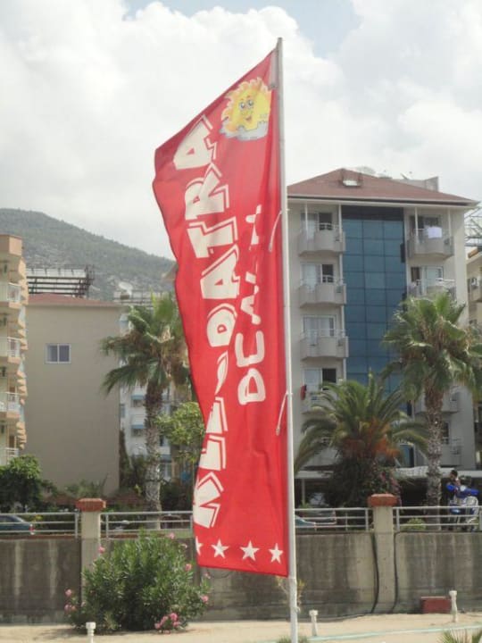 Celine Kleopatra Celine Hotel