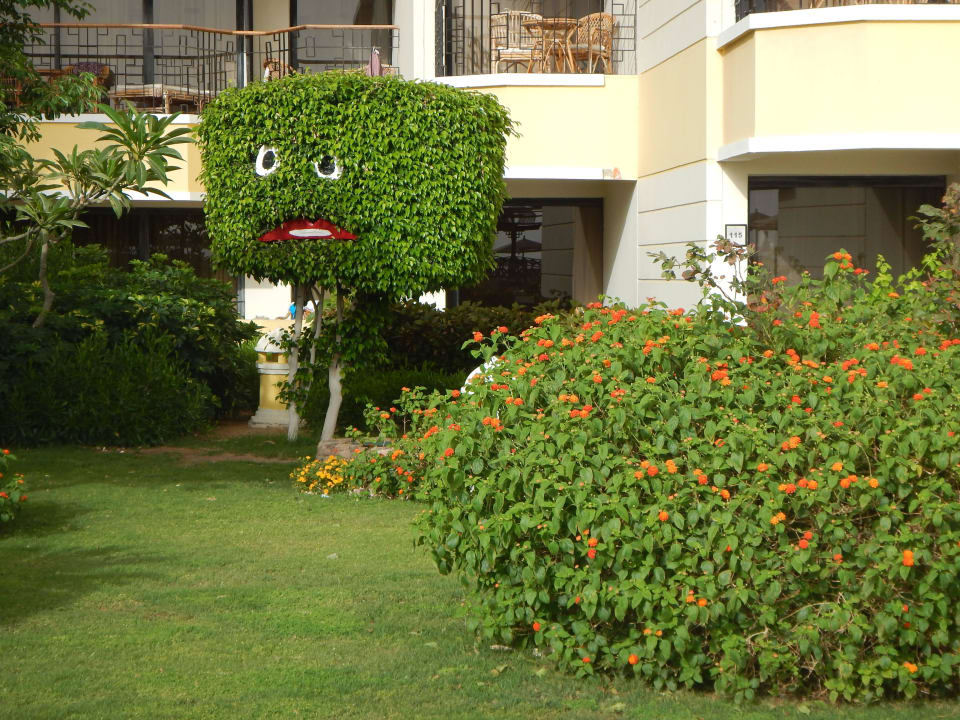 Garten SUNRISE Holidays Resort (Adults Only)