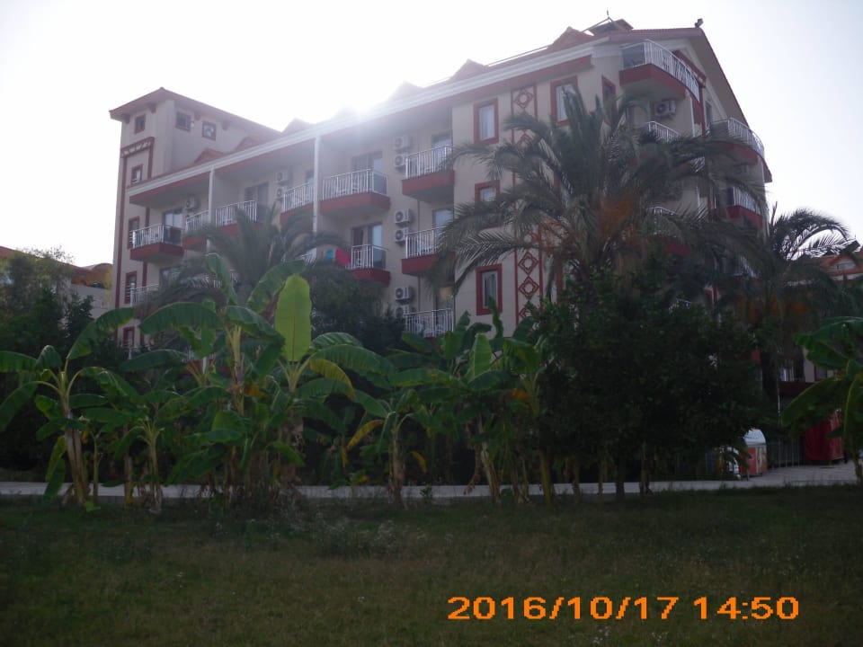 Hinter dem hotel FUN&SUN Smart Hane Sun Hotel