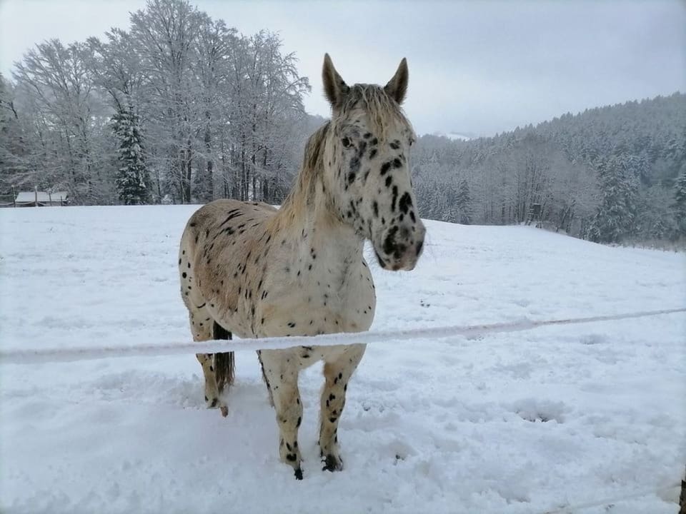 Sport & Freizeit Ranzinger Hof