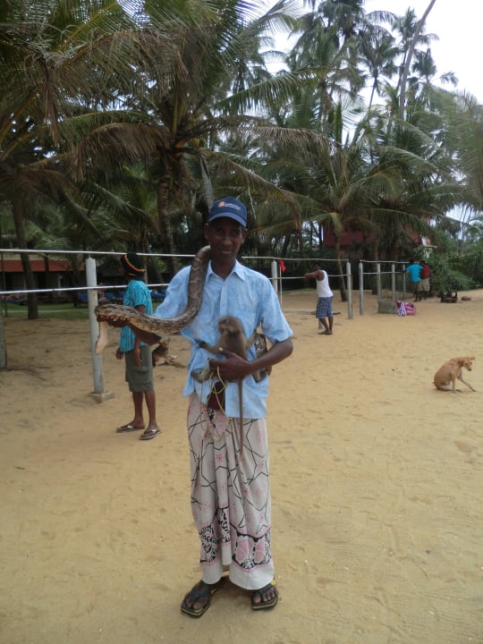Strandbesucher Mermaid Hotel & Club