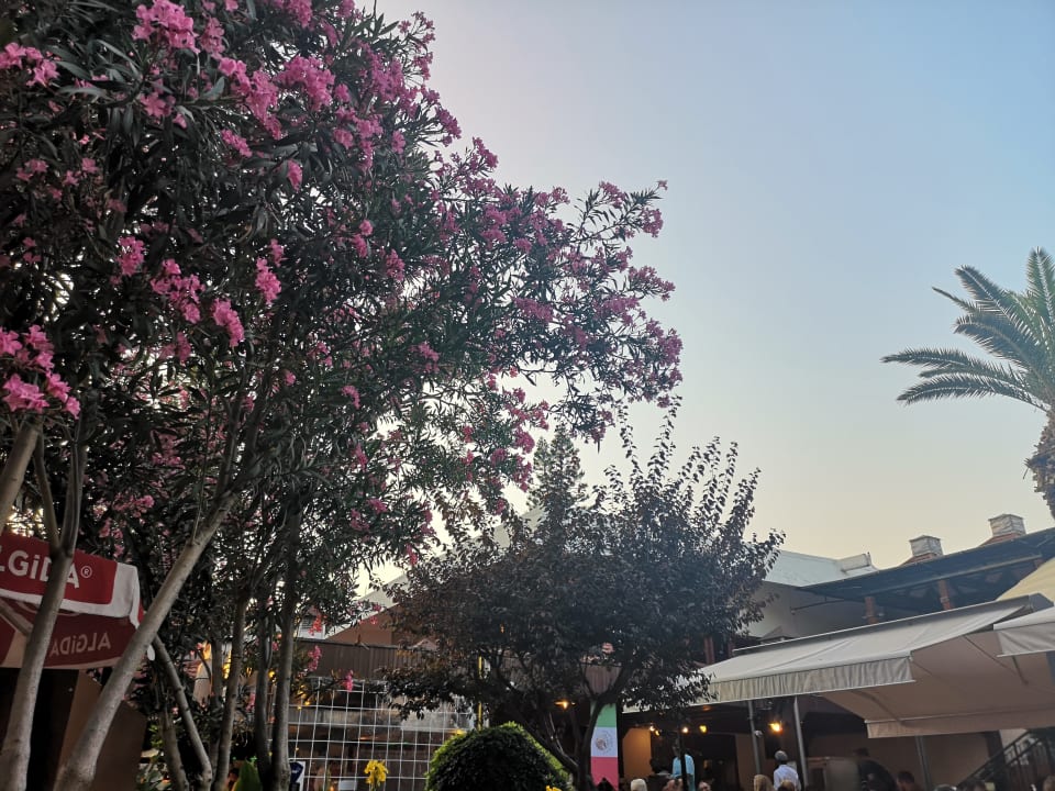 Garten Labranda Alantur Resort