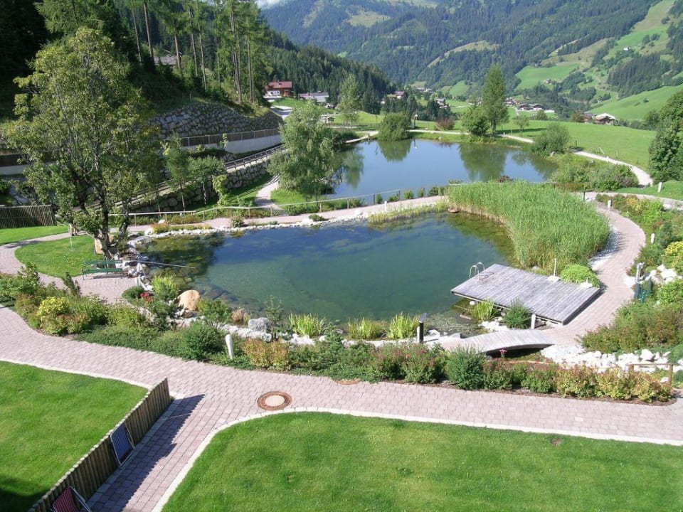 Blick von der Terrasse zum Biotop, Almsee ins Tal Übergossene Alm Resort