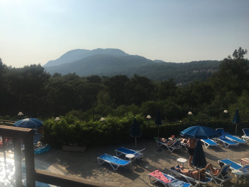 Ausblick Montana Pine Resort