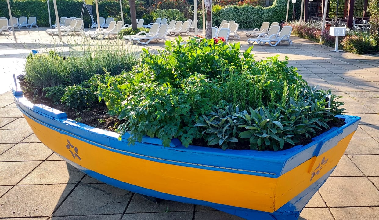 Gartenanlage TUI MAGIC LIFE Calabria