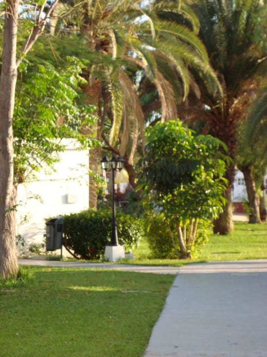 Auf zum Pool Canary Garden Club