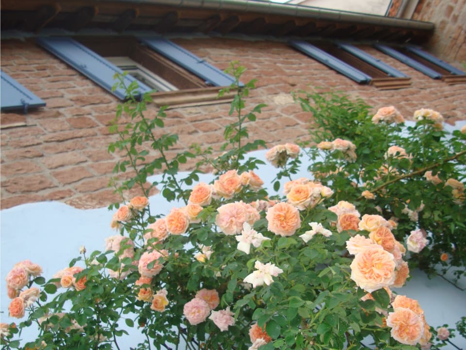 Sonstiges Gästehaus No. 31 im Rosengarten