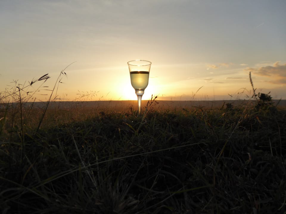 Sonstiges Royal Mara Safari Lodge