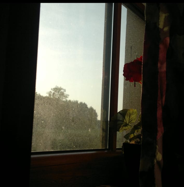 Blick aus dem Fenster Pension Feldblick