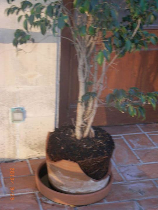 Super Cabot Cala Ferrera