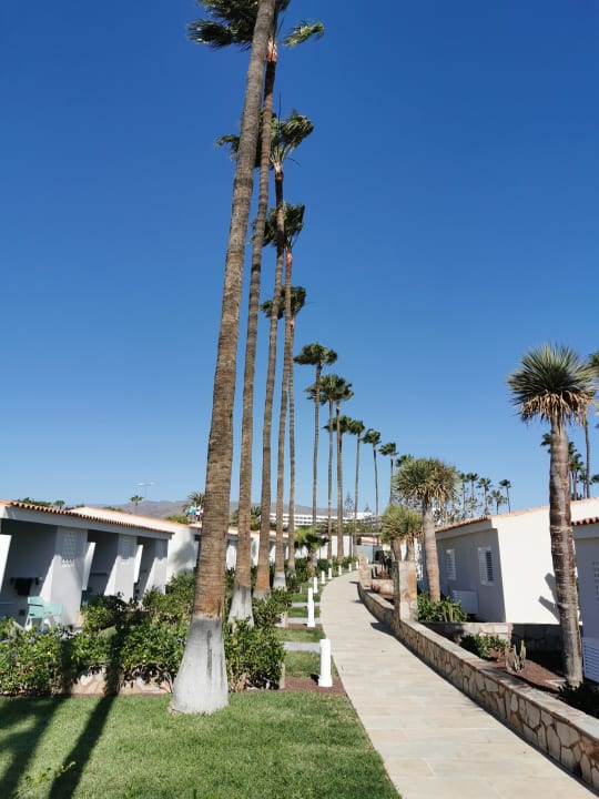 Außenansicht Relaxia Los Girasoles Bungalows