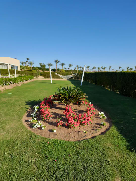 Gartenanlage Steigenberger Makadi Hotel - Adults only