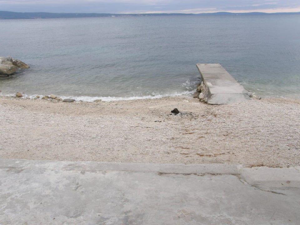 Pansion Zanic Pansion Zanic