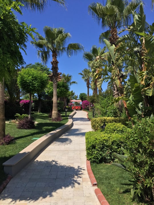 Garten Aydinbey Kings Palace & Spa