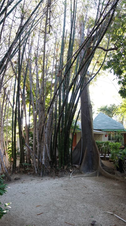 Gartenanlage Samsara Cliff Resort