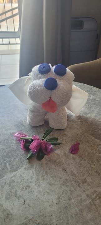 Zimmer Jiva Beach Resort