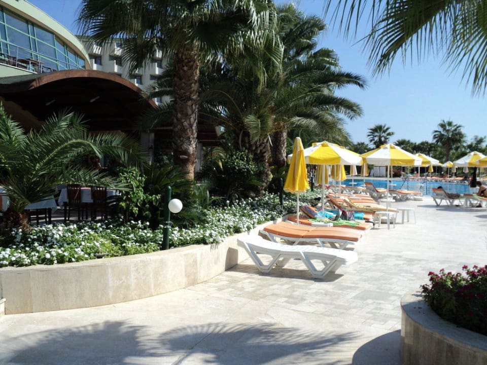 Liegen unter Palmen VONRESORT Golden Coast