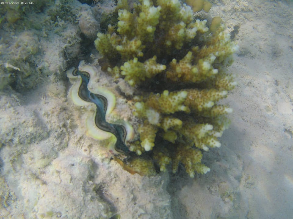Strand Steigenberger Aqua Magic