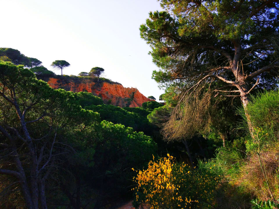 Auf dem Weg zum Strand PortoBay Falésia