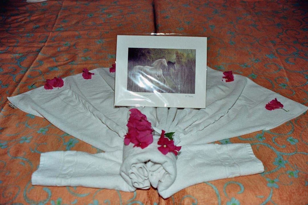 Zum Abschied Iberostar Selection Fuerteventura Palace