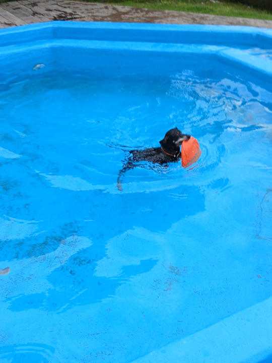 Sport & Freizeit Almfrieden Hotel & Romantikchalet