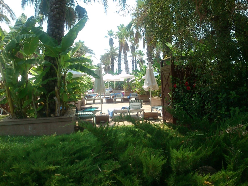Oase van groen  Concorde De Luxe Resort