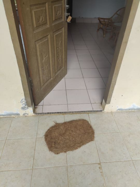 Außenansicht Ecolodge Bukit Lawang