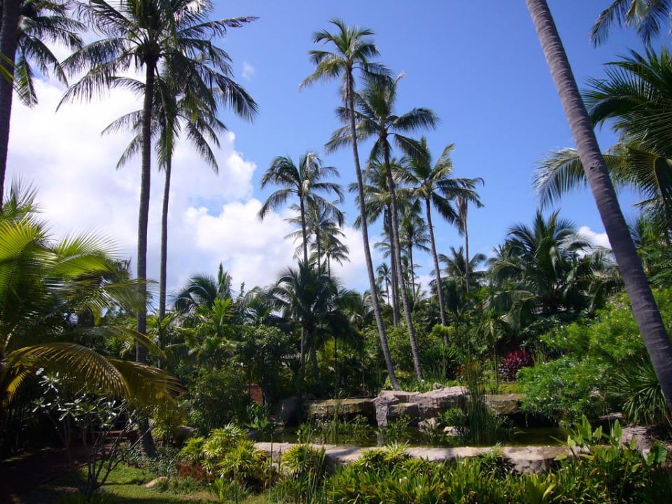 Teil der Gartenanlage Melati Beach Resort & Spa