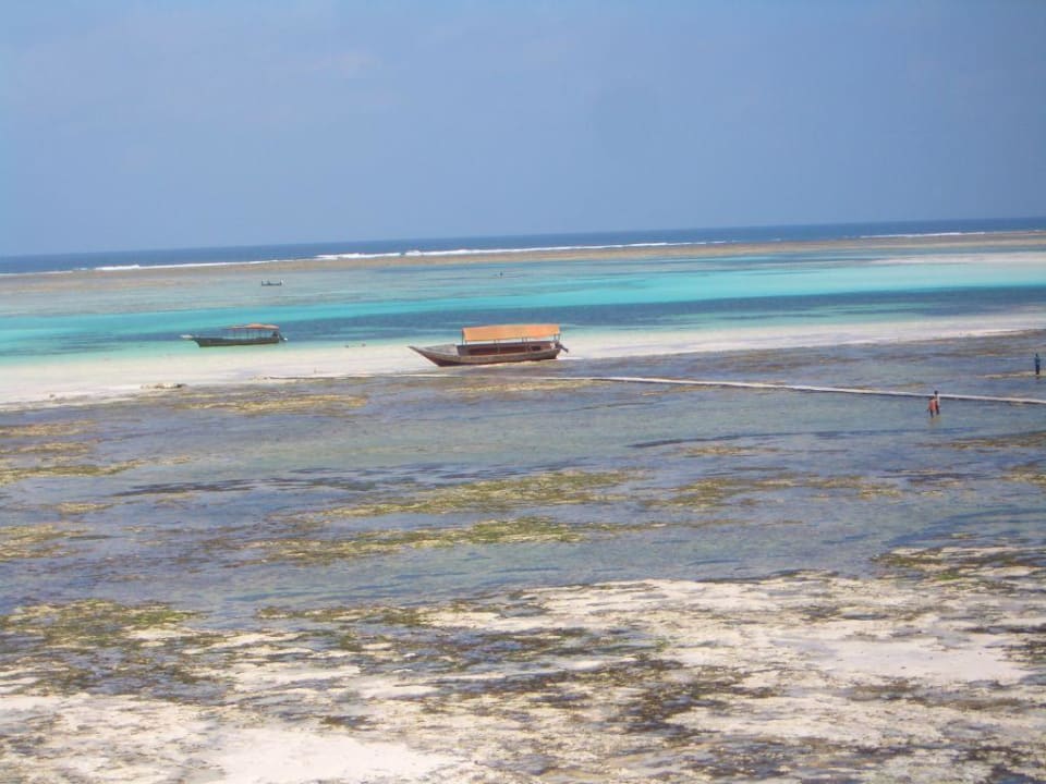 Lagune Karafuu Beach Resort & Spa
