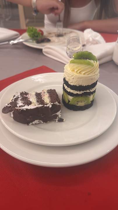 Gastro Seashell Vega