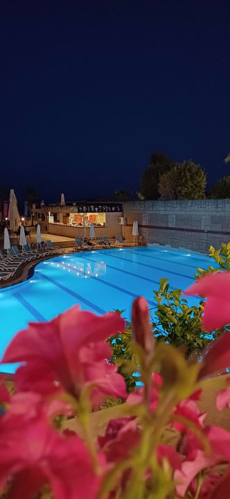 Pool Armas Gül Beach