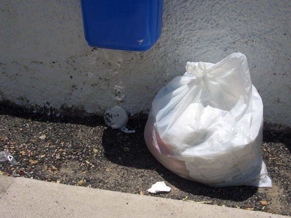 Mülltonne draussen Hotel Bungalows Duna Flor