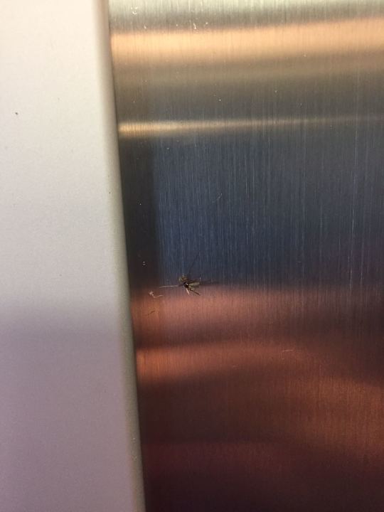 Außenansicht Dream Phuket Hotel & Spa