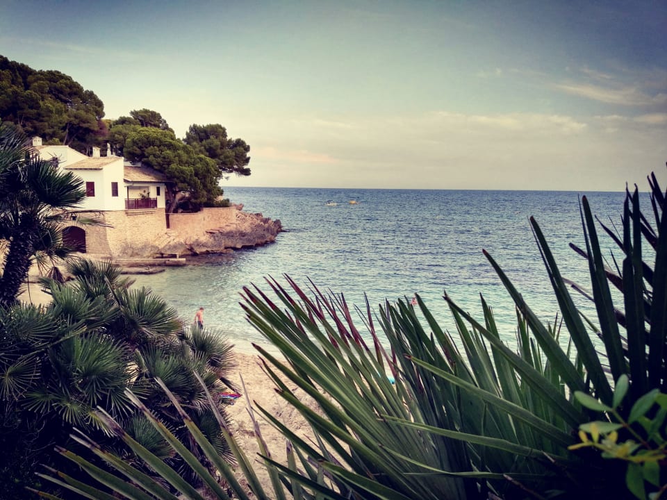 Strand Hostel Alcina