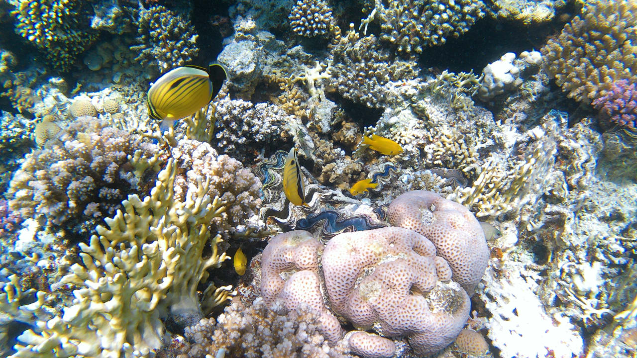 Sport & Freizeit Makadi Spa - Adults only