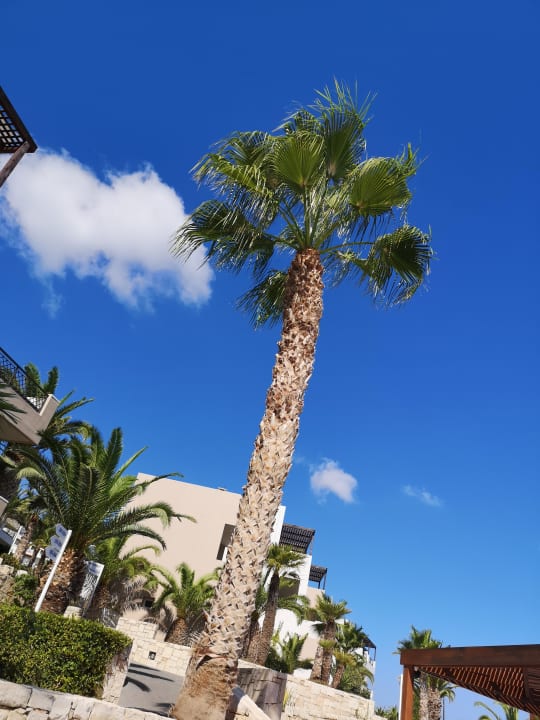 Gartenanlage Grand Hotel Holiday Resort