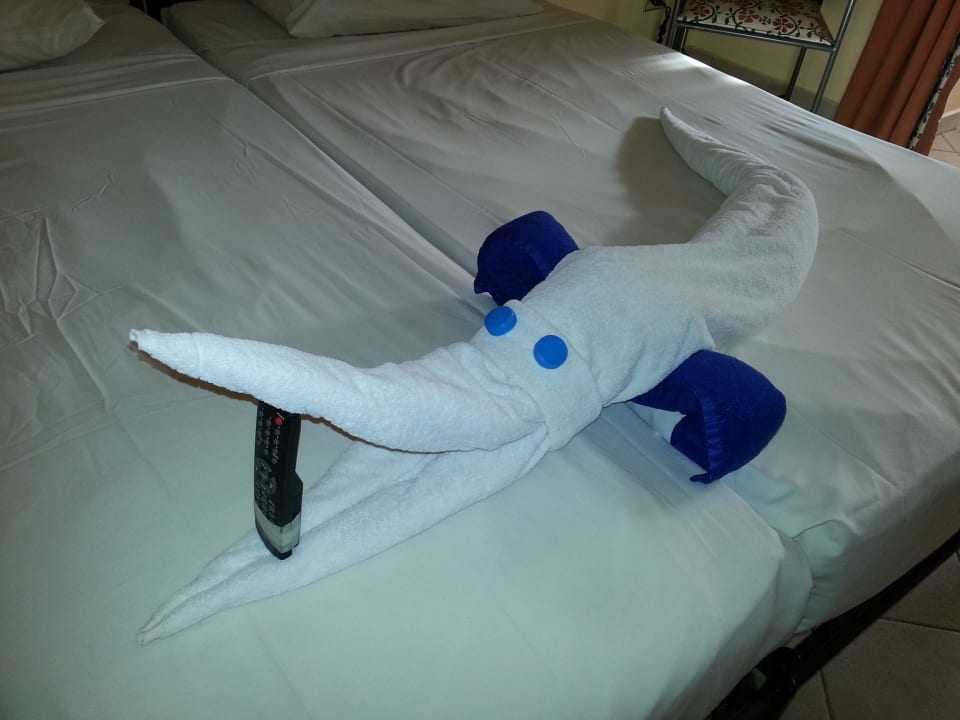 Jeden Tag was Neues Jaz Makadi Oasis Resort