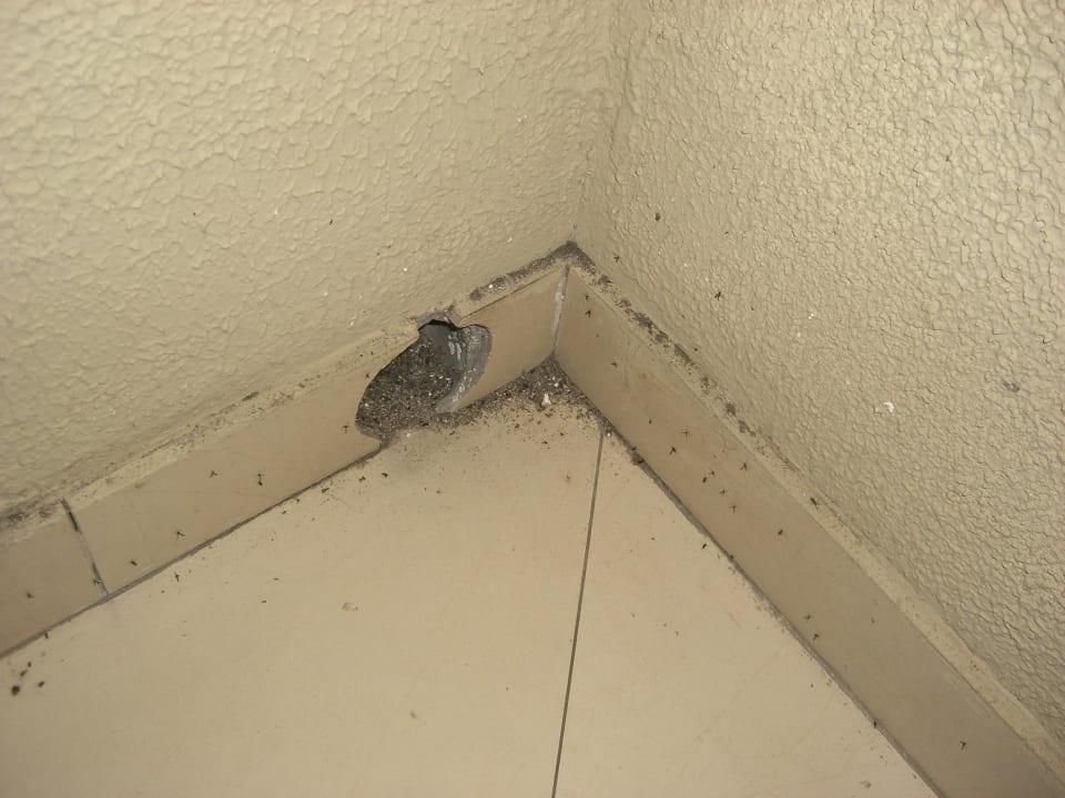 Dreck auf dem Balkon / Nirvana Zimmer Le Meridien Ile Maurice