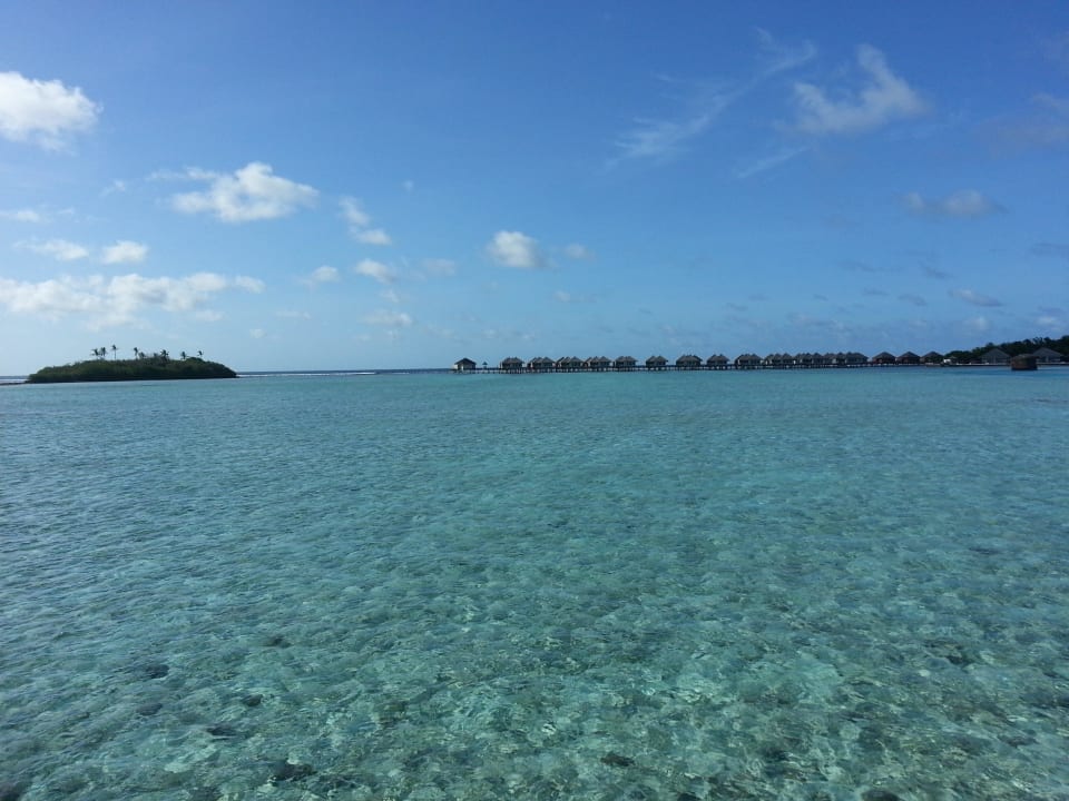 Widok z tarasu Cinnamon Dhonveli Maldives